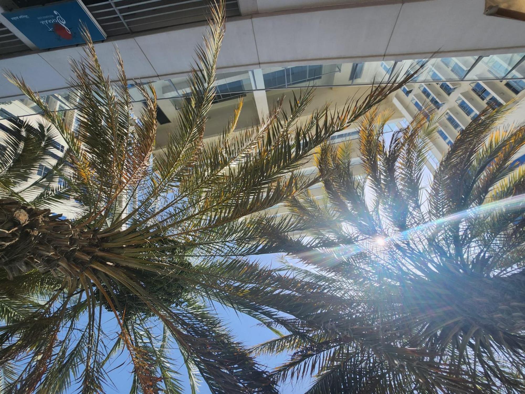 Marjan Island Beautiful Apartment Sea Side View Beach Luxury Rooms Ras Al Khaimah Uae Exterior photo